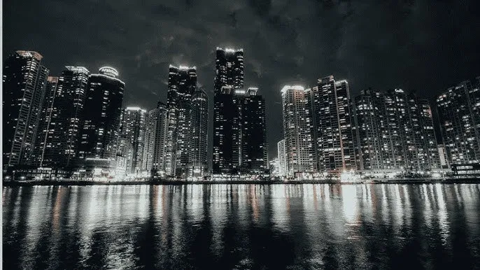 365DNI:今时之欲在线版完整版 - 城市之光：霓虹背后的人间烟火